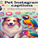 230+ Best Pet Instagram Captions | Stylish Captions