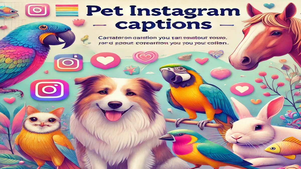 230+ Best Pet Instagram Captions | Stylish Captions